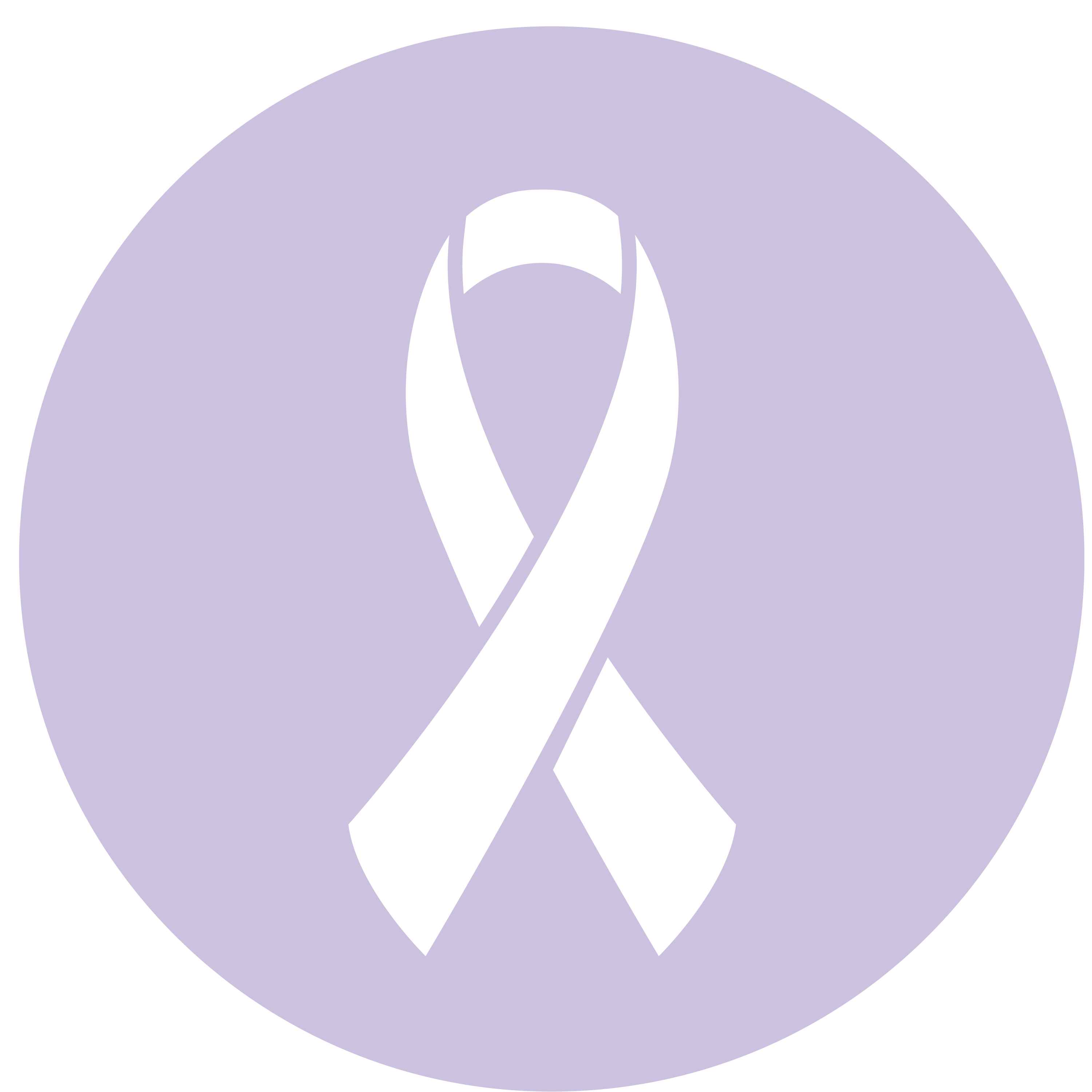 Icon of a ribbon.